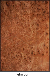 elm burl